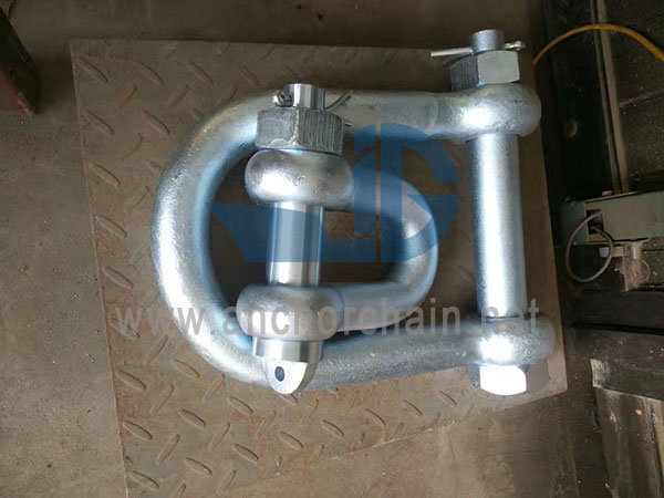 Cineál D Alloy Shackle CB3061