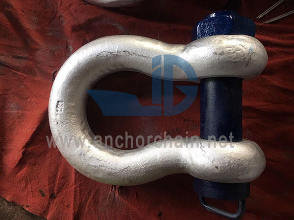 Cineál Eorpach Bow Shackle